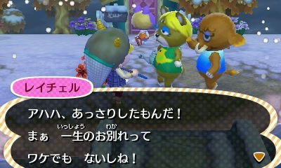 とびだせどうぶつの森プレイ日記23 真昼の星 ゲームめも