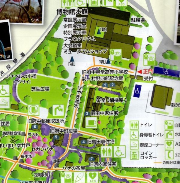 府中でお花見・・②郷土の森博物館（古民家でランチ） : 八十路の独り旅