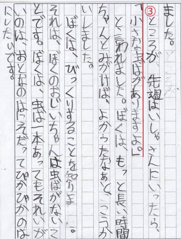 作文小3 虫ば編 会話文の書き方 Ariらいふ