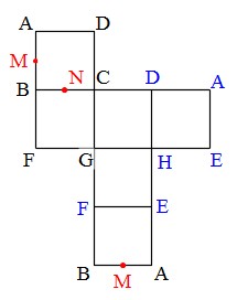 Math 見取り図と展開図の関係 小学算数 働きアリ