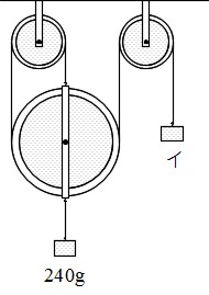 Science 定滑車 動滑車 組み合せ滑車 働きアリ