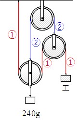 Science 定滑車 動滑車 組み合せ滑車 働きアリ