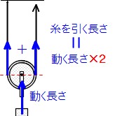 Science 定滑車 動滑車 組み合せ滑車 働きアリ