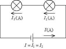 Science 中２で学ぶ理科の公式 働きアリ