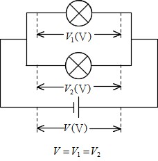 Science 中２で学ぶ理科の公式 働きアリ