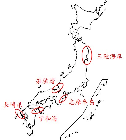 Social Studies 社会科の言葉 砂浜海岸 リアス式海岸 フィヨルド 働きアリ