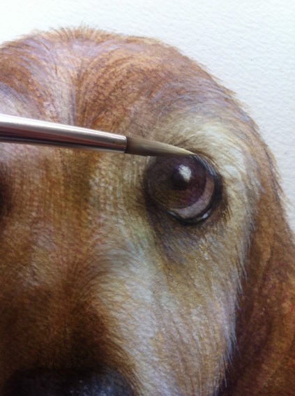 ペットの似顔絵の描き方 画を楽しむ生活 瀬戸アートスクール画楽