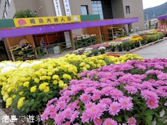 鴨島 菊人形 菊花展 開催 14 あるでよ Blog