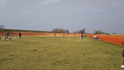 無料で広くて羨ましい 東海広場ドッグラン こまりーーーーーんこ