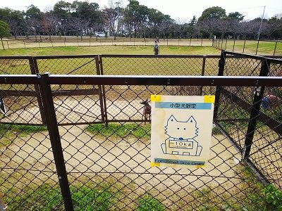 無料の 垂水健康公園 ドッグラン こまりーーーーーんこ