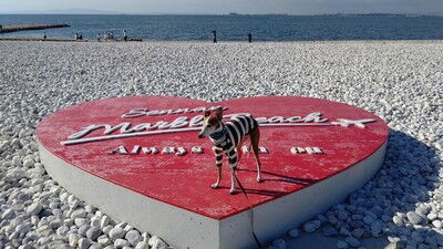 泉南りんくう公園は素敵な場所だった こまりーーーーーんこ