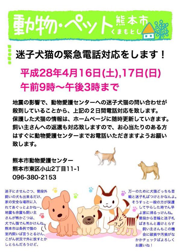 熊本での地震による迷子犬猫の緊急電話対応 こまりーーーーーんこ