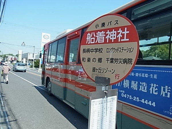 千葉県茂原市茂原牡丹園を散策 18年春 東京関東日帰り街歩き散歩ブログ A Blog That Took A Walk Around Tokyo