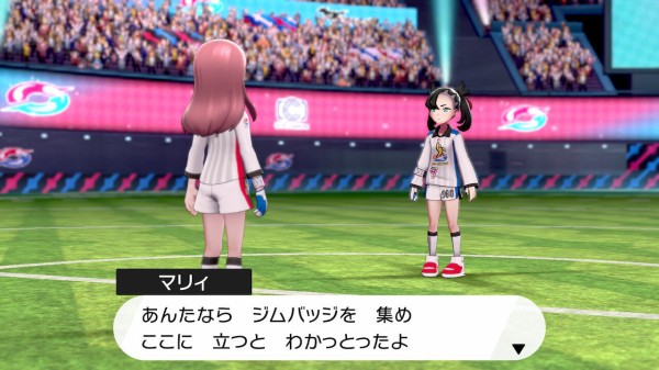 ポケットモンスター ソード シールドをクリア 今日も何処かで世界を救う