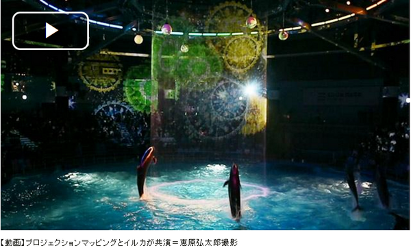 ７月７日からアクアパーク品川で始まった 花火アクアリウム がヤバそう ａｓａ自由が丘のブログ
