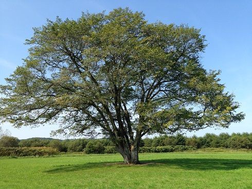 ドリカム 聖地を巡る 旭川モダンボーイ Life Is Fantastic