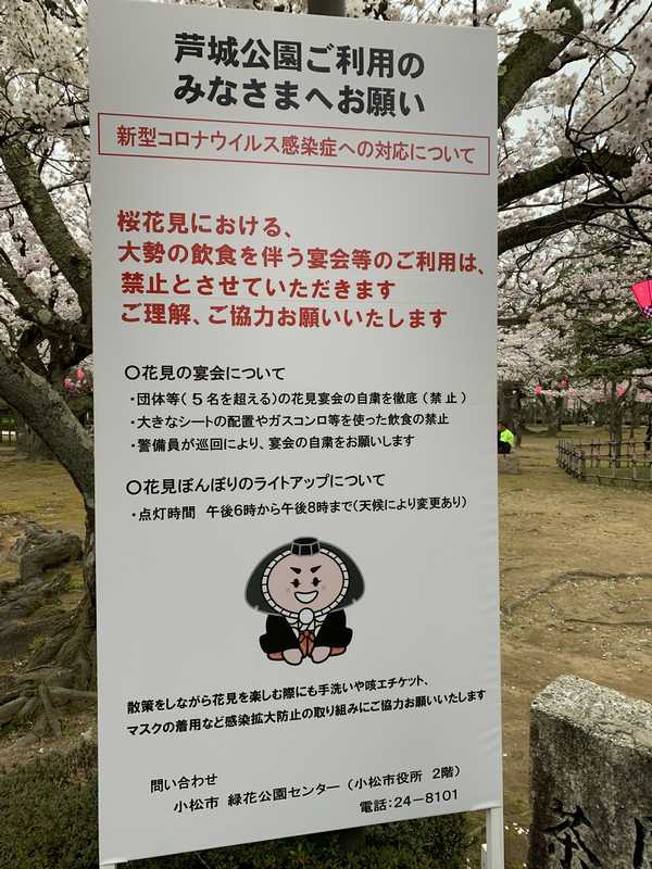 今年も小松市の桜の名所 木場潟 の桜と 芦城公園 の桜を見てきました あさぴーのおいしい独り言