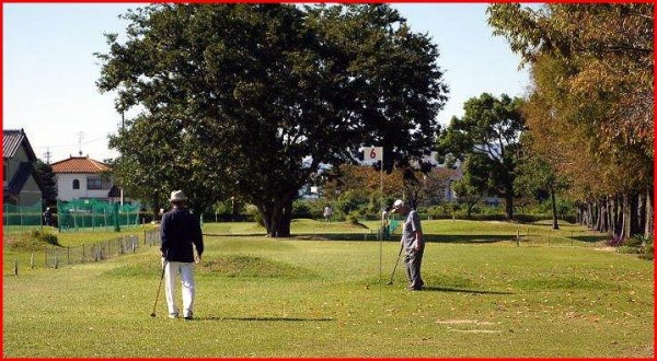 パークゴルフ実施 O Asc23 Blog