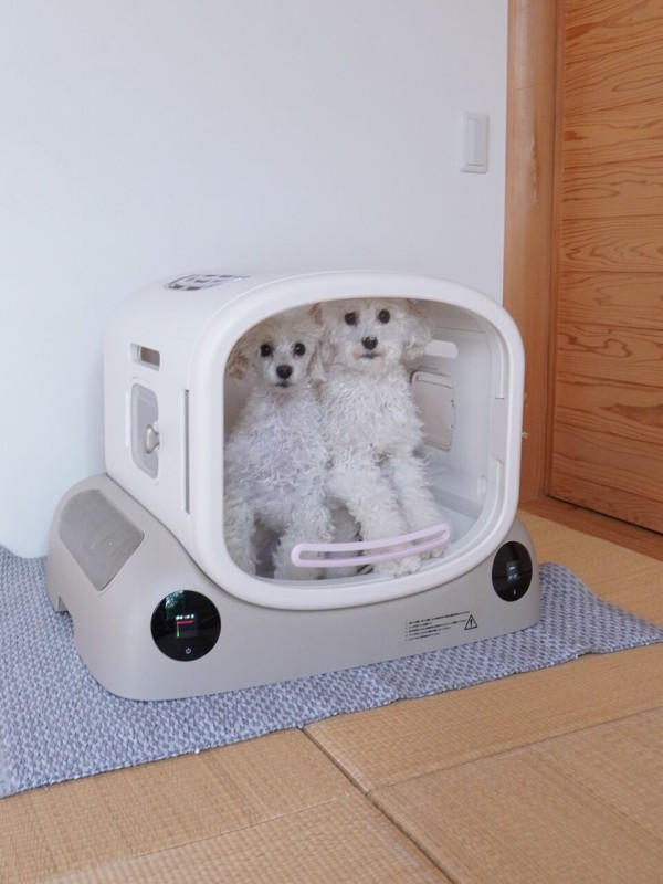 新品未使用　Pety SMILEペットドライヤーハウス ほぼ新品】PetSnowy SMILEペットドライヤーハウス ペットドライヤー