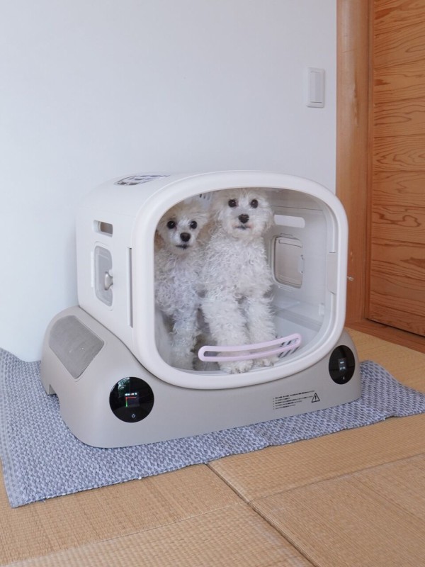 PetSnowy SMILE ペットドライヤーハウス 猫 犬 80L大容量 Amazon | 「乾燥率が上手」PetSnowy ペットドライヤーハウス 猫