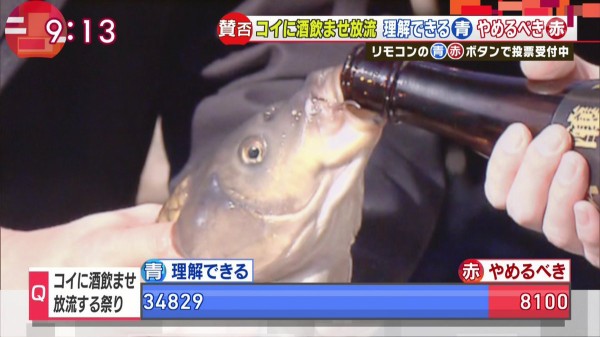 コイ えっ ワイに酒飲ませて放流するんですか 生物ちゃんねる