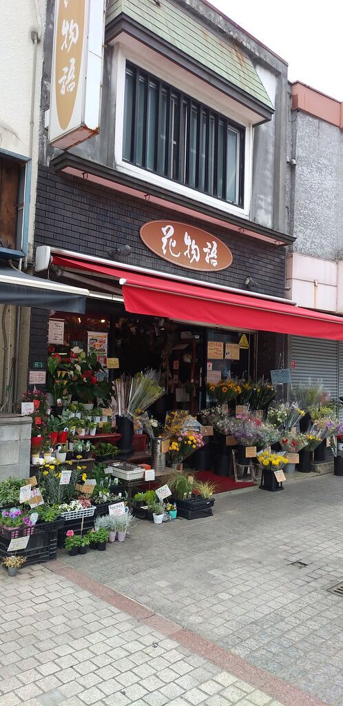 ワクワクする花屋さん 花物語 福岡よかとこ 一度はおいで 2 ワクワクする花屋さん 花物語 福岡よかとこ 一度はおいで 2