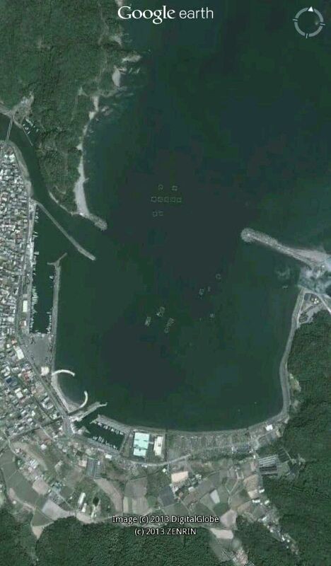 3 10日 日 高知県中土佐町上ノ加江漁港へ行くの巻 高知 愛媛県での釣り好き３バカトリオの気ままな釣行記