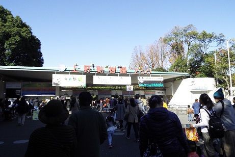 17年11月12日 パンダくんを見に行く パンダくんが寝ている タイトル変更 上野懸垂電車 亜洲鉄道日記