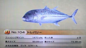 のんびりファミリーフィッシング 18 パチャール ビーチ どうぶつの森 と過ごす日々