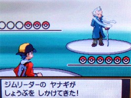 ポケモンスター ハートゴールド ソウルシルバー プレイ日記 15 どうぶつの森 と過ごす日々