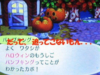 街へいこうよ どうぶつの森 死闘 ニセ パンプキング どうぶつの森 と過ごす日々