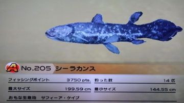 のんびりファミリーフィッシング 49 シーラカンス パスワード放流魚 どうぶつの森 と過ごす日々