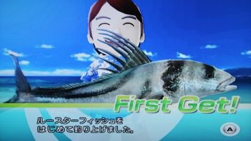 のんびりファミリーフィッシング 39 スプール アイランド どうぶつの森 と過ごす日々