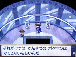 ポケモンスター ハートゴールド ソウルシルバー プレイ日記 17 どうぶつの森 と過ごす日々