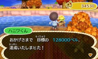 とびだせ どうぶつの森 プレイ日記 ６ どうぶつの森 と過ごす日々