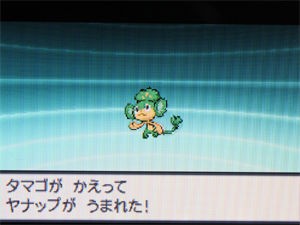 ポケモン ブラック ホワイト なぞのタマゴの正体 どうぶつの森 と過ごす日々