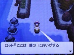 ポケモン ブラック ホワイト 攻略日記 18 七賢人編 どうぶつの森 と過ごす日々