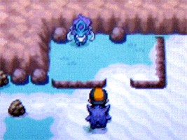 ポケモンスター ハートゴールド ソウルシルバー プレイ日記 11 どうぶつの森 と過ごす日々