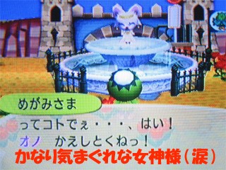 【激レア品】おいでよどうぶつの森　おとこのこ 激レア品】おいでよどうぶつの森 おとこのこ