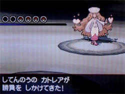 ポケモン ブラック ホワイト 攻略日記 16 ポケモンリーグにて どうぶつの森 と過ごす日々