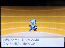 ポケモン ブラック ホワイト 攻略日記 ３ サンヨウシティ ３番道路にて どうぶつの森 と過ごす日々