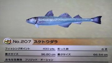 どうぶつ の 森 フグ