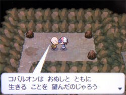 ポケモン ブラック ホワイト 攻略日記 23 コバルオン テラキオン ビリジオン捕獲 どうぶつの森 と過ごす日々