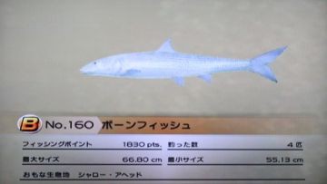 のんびりファミリーフィッシング 18 パチャール ビーチ どうぶつの森 と過ごす日々