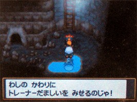 ポケモンスター ハートゴールド ソウルシルバー プレイ日記 7 どうぶつの森 と過ごす日々