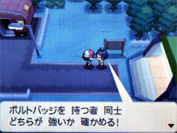 ポケモン ブラック ホワイト 攻略日記 ８ ５番道路にて どうぶつの森 と過ごす日々