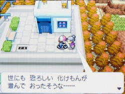 ポケモン ブラック ホワイト 攻略日記 七賢人編 どうぶつの森 と過ごす日々