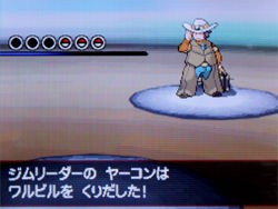 ポケモン ブラック ホワイト 攻略日記 ９ ホドモエの跳ね橋 ホドモエシティにて どうぶつの森 と過ごす日々