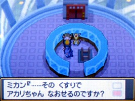 ポケモンスター ハートゴールド ソウルシルバー プレイ日記 12 どうぶつの森 と過ごす日々