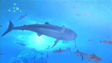 のんびりファミリーフィッシング 44 バンドウイルカ マンタ アオウミガメ ジンベイザメ どうぶつの森 と過ごす日々